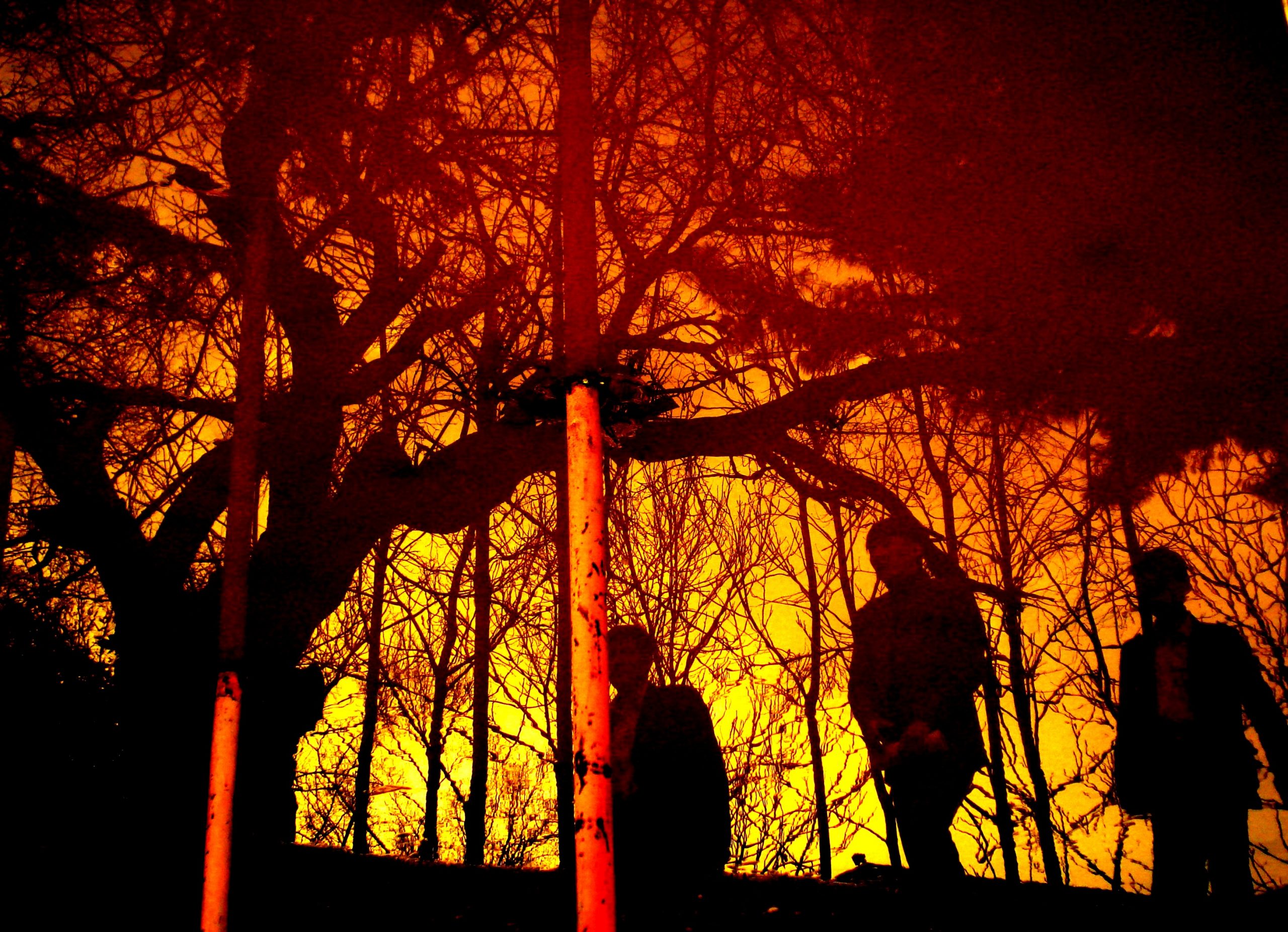 Photography by Nabila Horakhsh